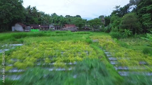 Rural view in the afternoon after the rain