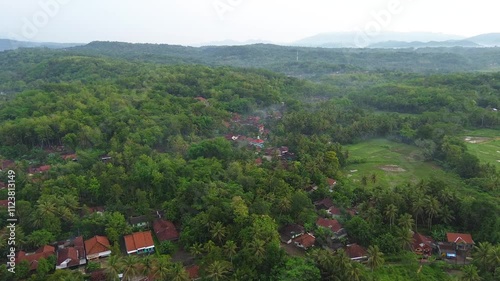 Mountain view with dense forest