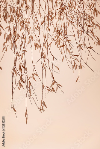Brown gracefully branches with slender stems and leaves on beige backdrop, minimalist background