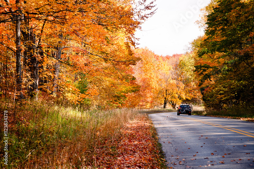 A car with bikes on the back drives down a road through trees during autumn in northern Michigan