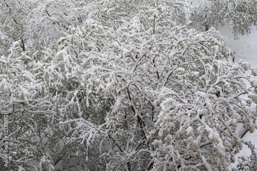 heavy snowfall in the city.view from the window