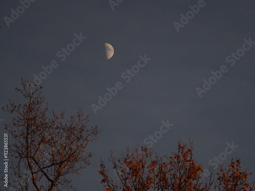 first quarter moon at sunset in the fall