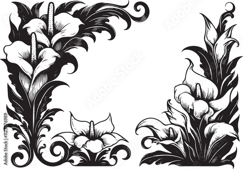 Titan Arum , Amorphophallus titanum flower in victorian flourish decoration, corner border, black and white illustration, photo