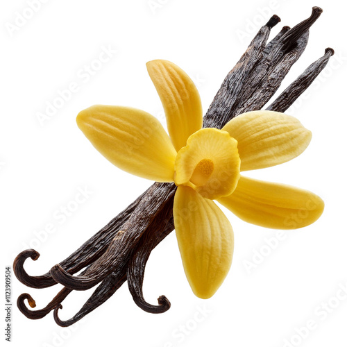 Vanilla bean isolated on white background, PNG file