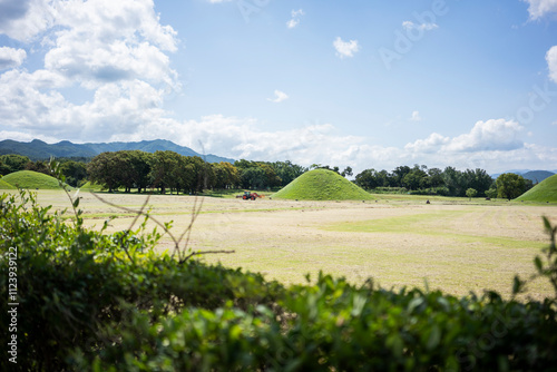Wallpaper Mural Daereungwon Tomb Complex in a Verdant Landscape in Gyeongju, South Korea Torontodigital.ca