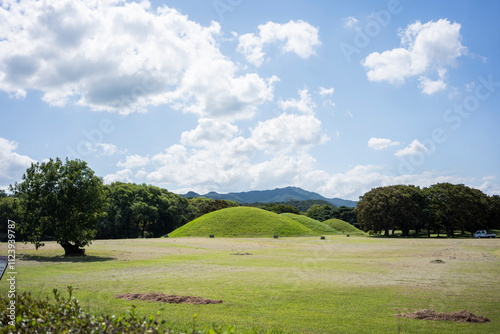 Wallpaper Mural Daereungwon Tomb Complex in a Verdant Landscape in Gyeongju, South Korea Torontodigital.ca