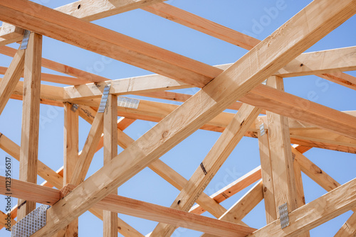 Timber for housing construction