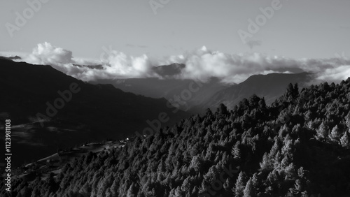 Bosques en los Andes Ecuatorianos