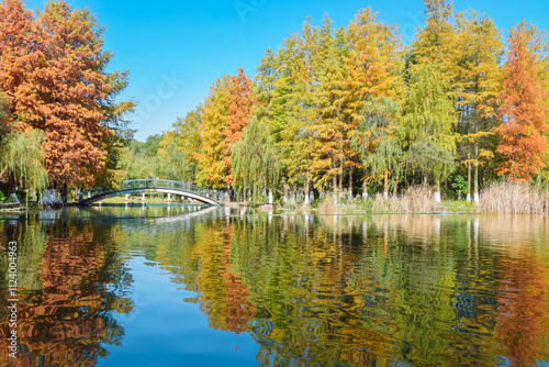 Beautiful landscape of golden autumn season at Yinzhou Park, Ningbo, Zhejiang, China