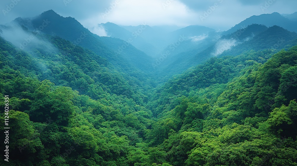 Obraz premium Lush green mountains shrouded in mist, creating a serene and tranquil landscape.