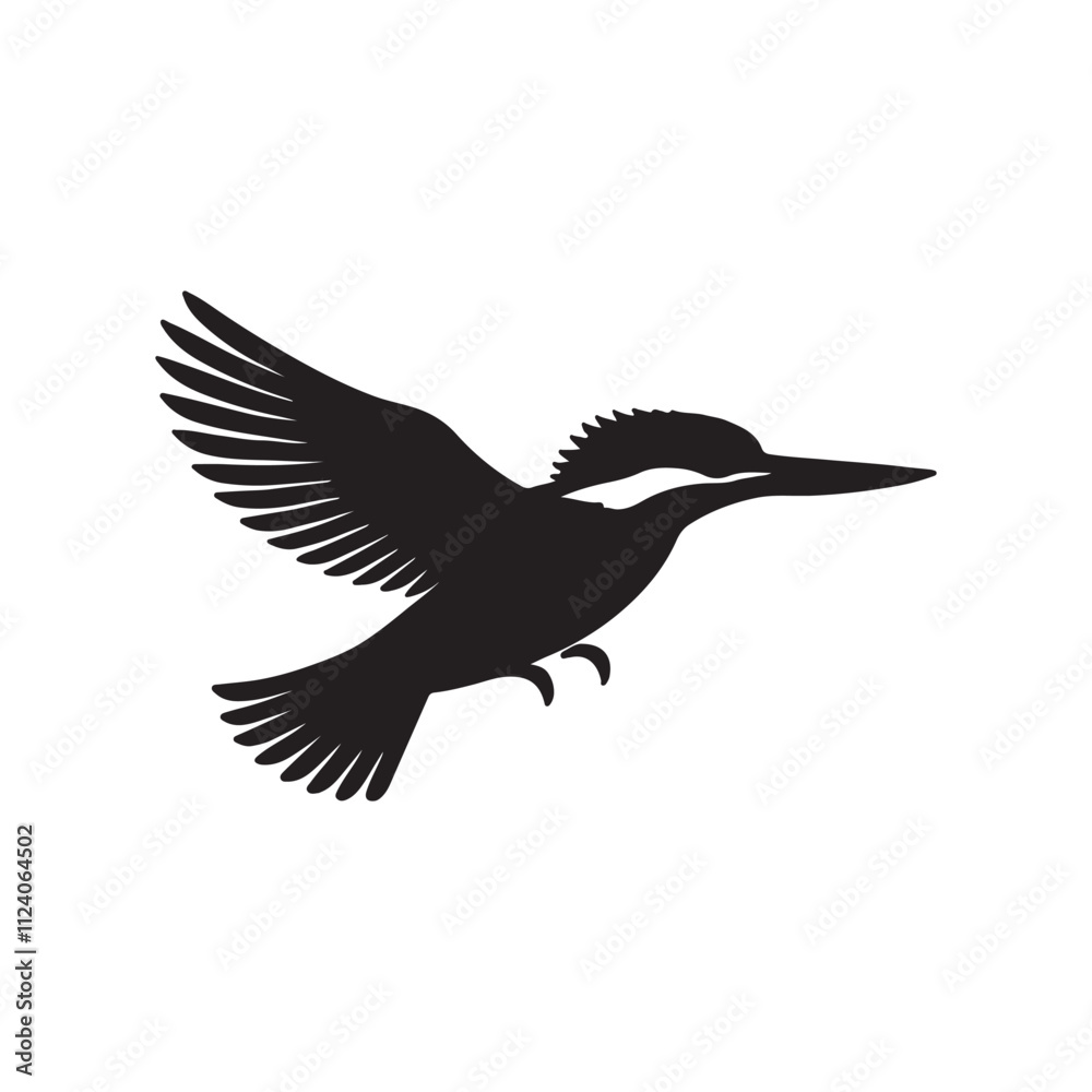 Fototapeta premium black and white hummingbird