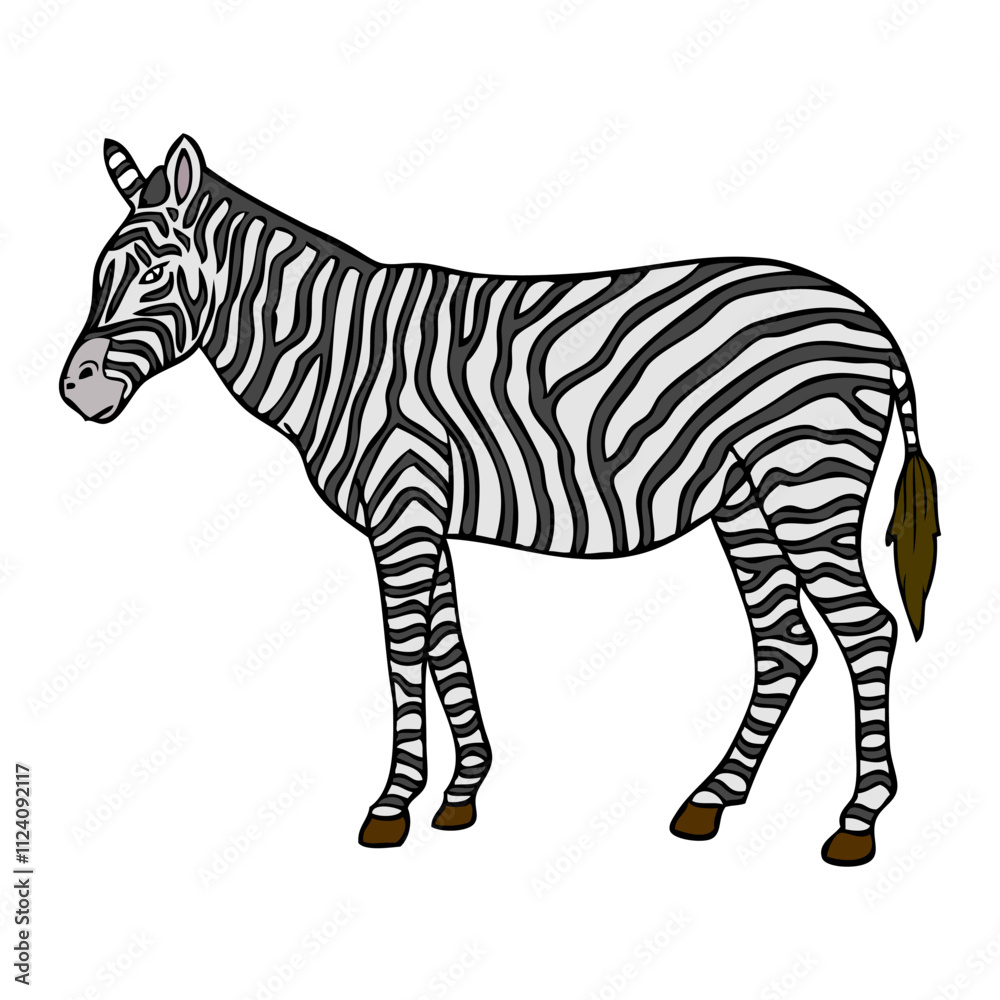 Obraz premium zebra vector illustration