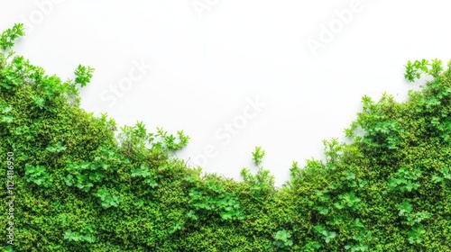 Lush greenery against a white background, creating a fresh and vibrant atmosphere.