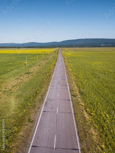 road in the fields in summer