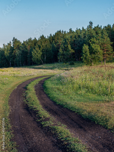 Field road, a country road in a field on a summer day