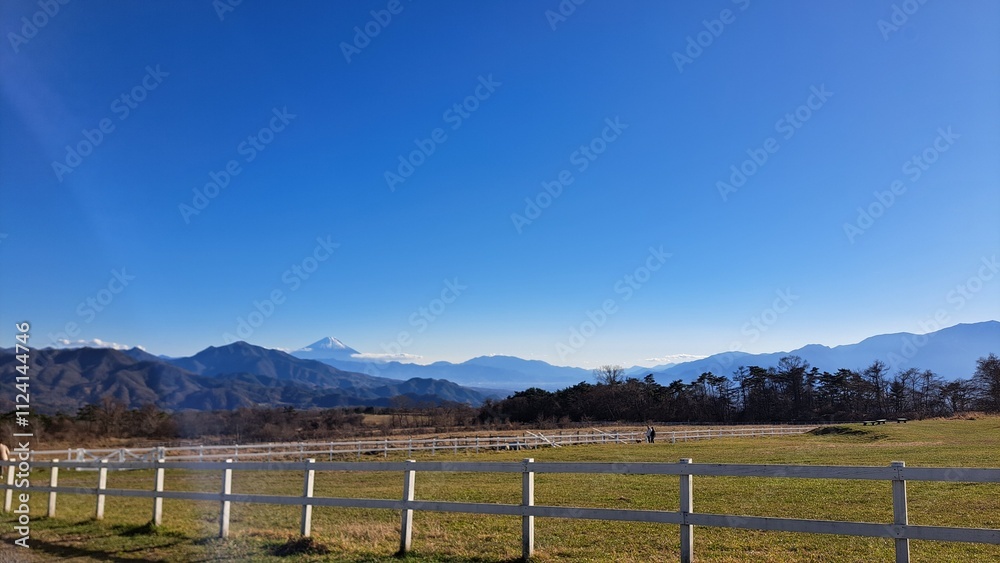 Fototapeta premium 高原と富士山と青空の風景