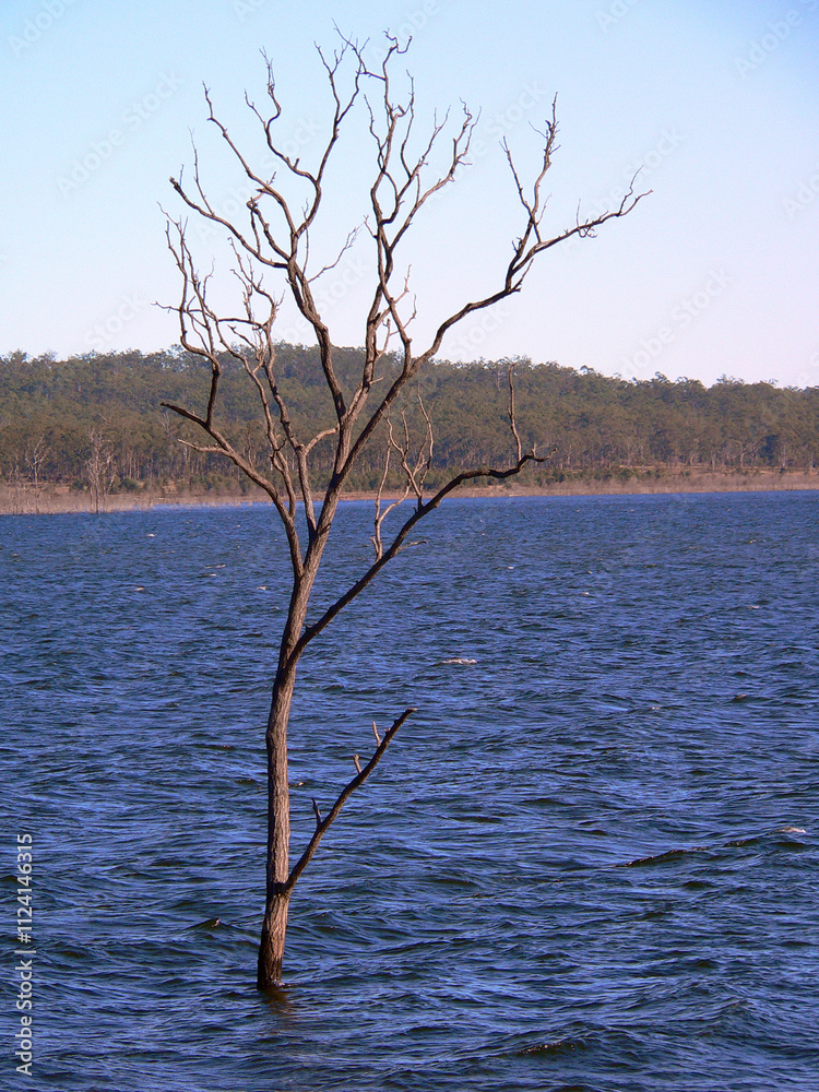Dead tree in a lake of water with a hill in the background Dead tree in a lake of water with a hill in the background