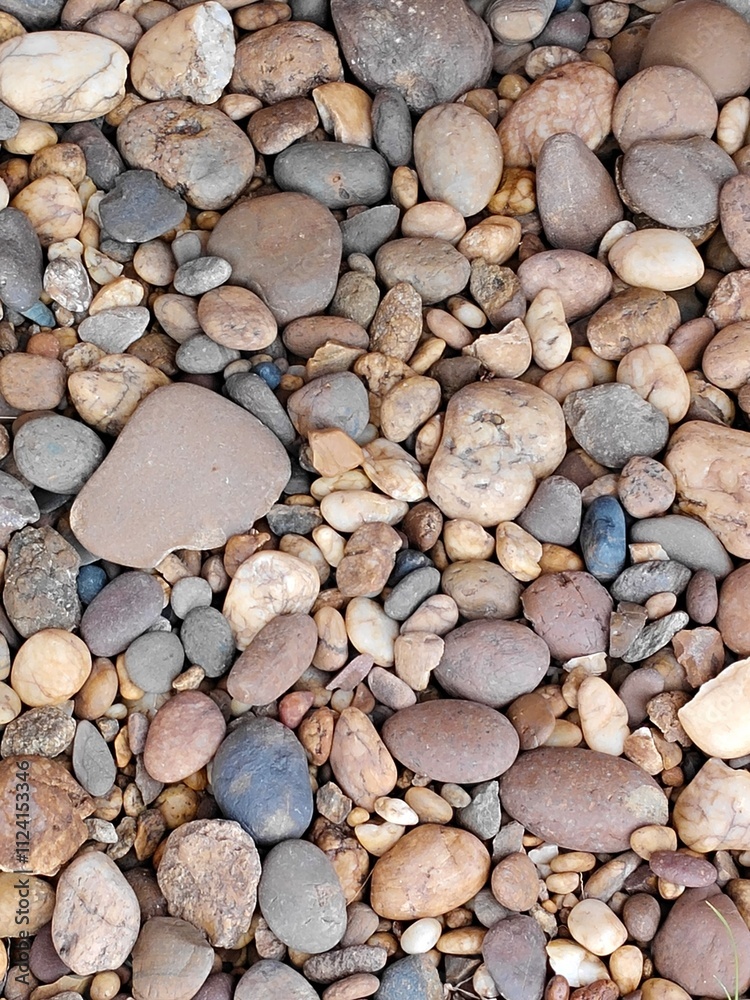 Colorful River Pebbles in Nature Close-Up Details Textured Environment Ground Level Natural Beauty Concept Colorful River Pebbles in Nature Close-Up Details Textured Environment Ground Level Natural Beauty Concept