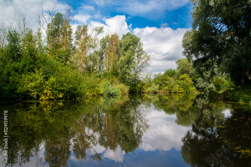 Green trees and reflected in area of water