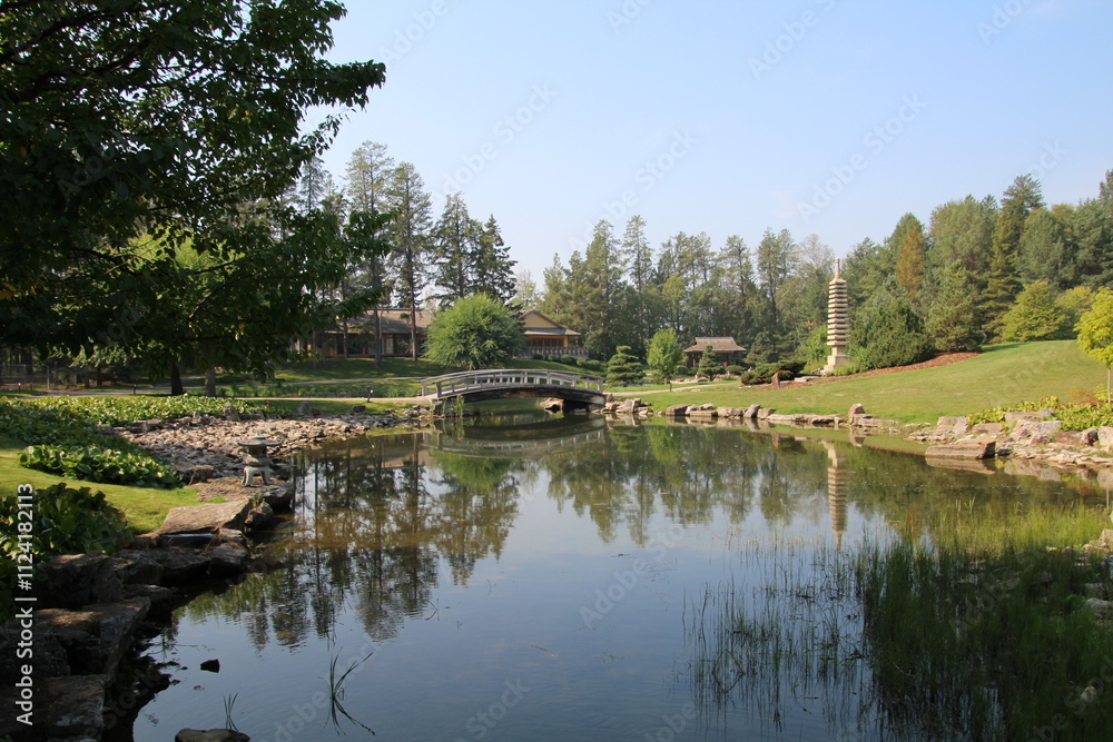 Obraz premium pond in the park