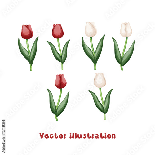 Coquette Red and white tulip vector illustration, vintage preppy aesthetic hand drawn, watercolor nostalgia decorative trendy