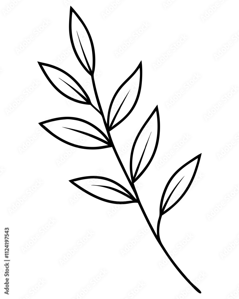 Botanical branche with slender leaves line art vector illustration Botanical branche with slender leaves line art vector illustration