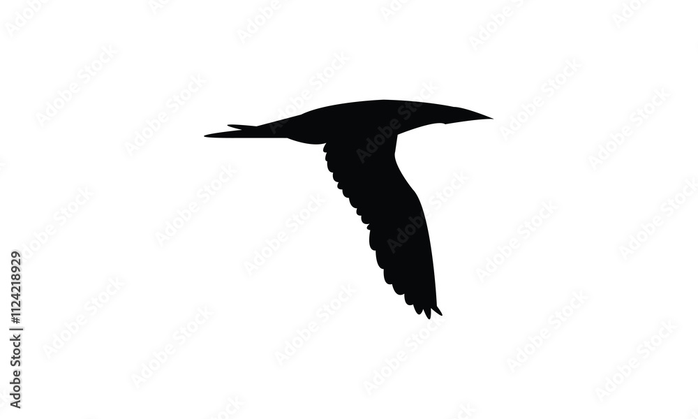 Flying boobie Bird Silhouette Design  And Illustration. 