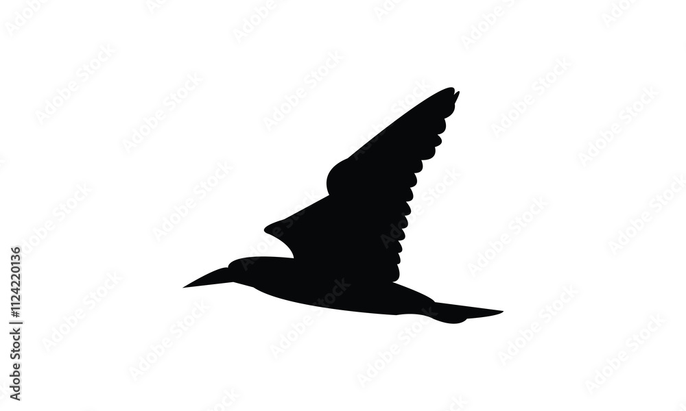 Flying boobie Bird Silhouette Design And Illustration. Flying boobie Bird Silhouette Design And Illustration.