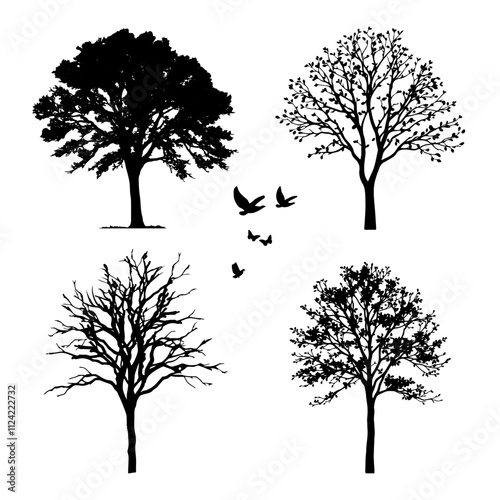 Silhouette of Trees Vector Outlines Four Seasons With Birds for Architecture and Design 