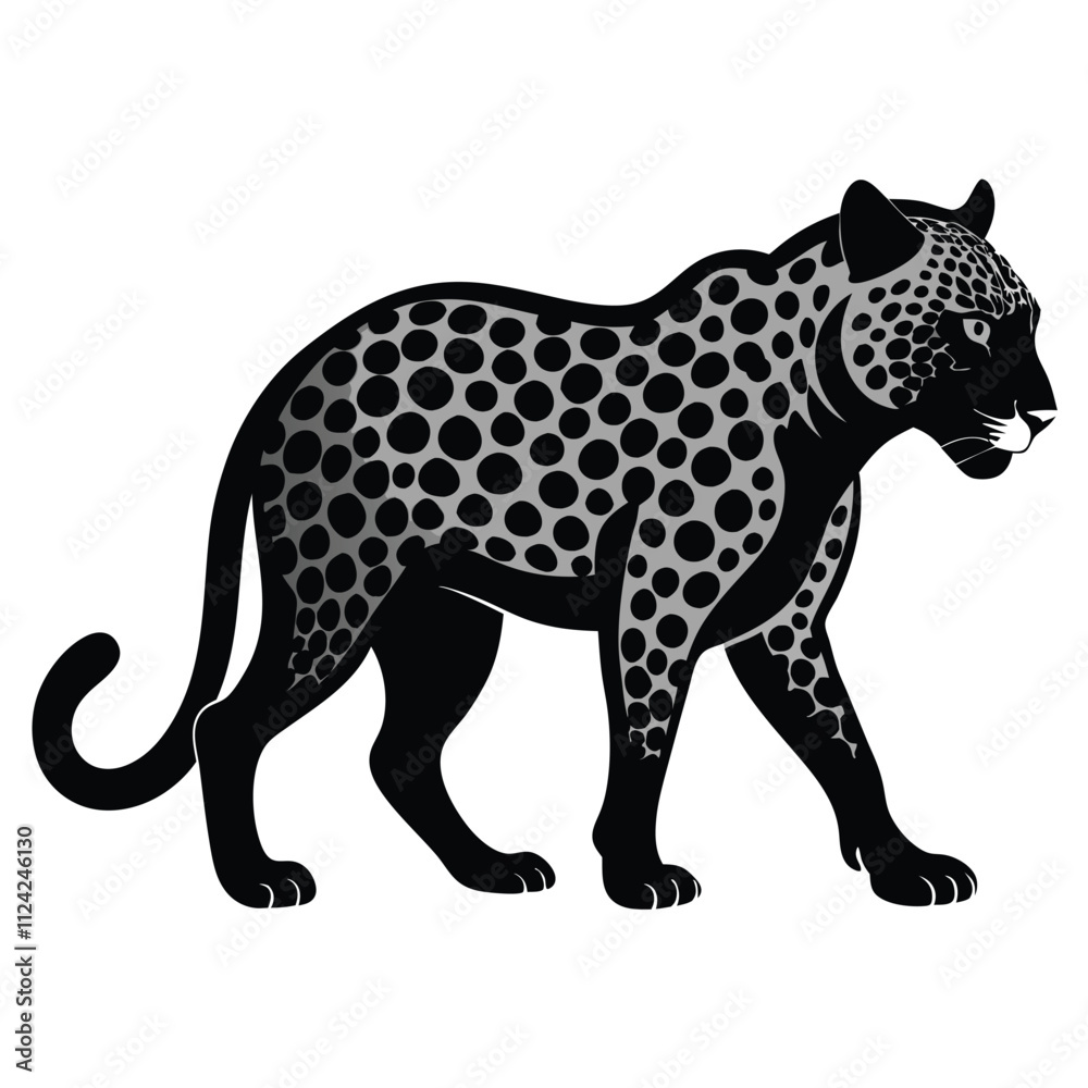 leopard on a white background leopard on a white background