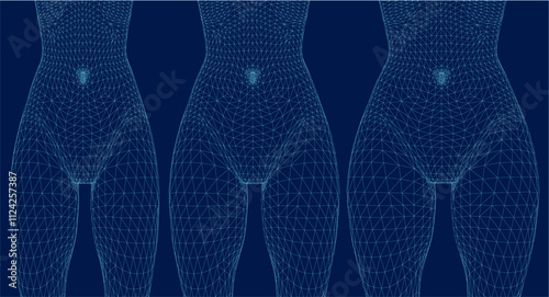 From thin to fat body people wireframe. Different proportions of woman bodies. Obese classification vector wireframe. 3D