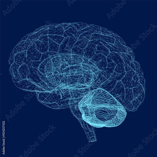 Vector illustration of wireframe human brain from blue lines. 3D