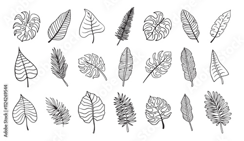 Palm tropical exotic leaves outline sketch. Tropical palm leave doodle, isolated linear doodle style. 