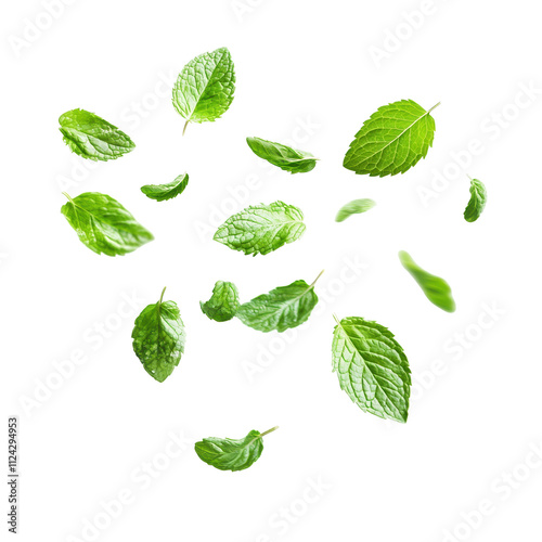 Flying mint leaves cutout png