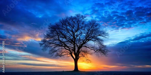 Serene Silhouette of a Leafless Tree at Sunset with a Vibrant Sky