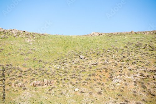 Green steppe hills photo