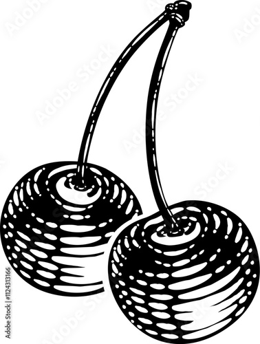 Cherry berry fruit illustration in a vintage retro woodcut etching style.