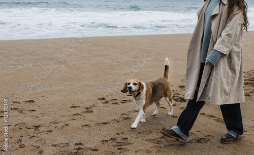 Cropped view of a woman walking her beagle along the coastline photo