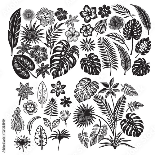 Tropical different types of exotic leaves set. Jungle plants. Calathea, Monstera, and palm leaves.