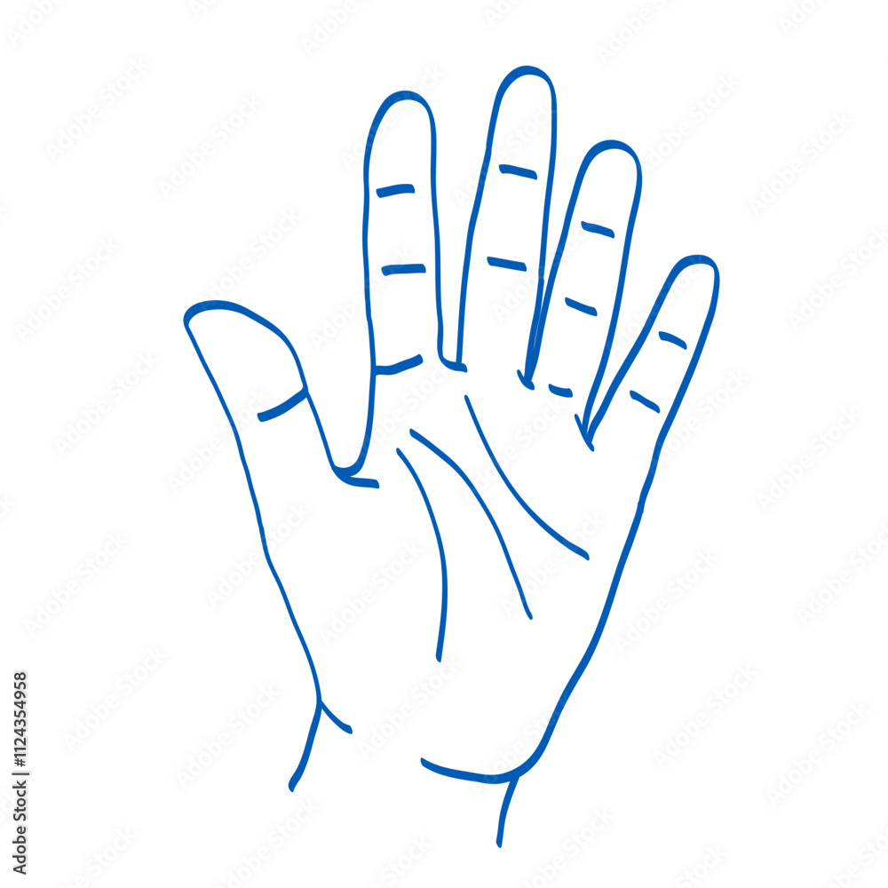 Hand gesture sketch. Counting with fingers. One, two, three, four and five. Palm. Index, middle, ring, little fingers and thumb