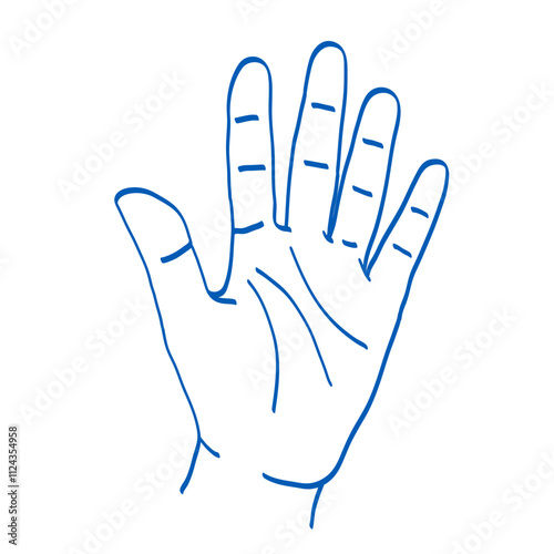 Hand gesture sketch. Counting with fingers. One, two, three, four and five. Palm. Index, middle, ring, little fingers and thumb
