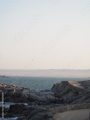 Möwe fliegt über den felsigen Ozean 