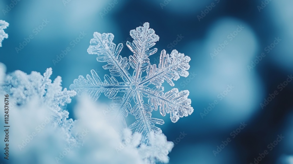 Close up picture of snow flakes