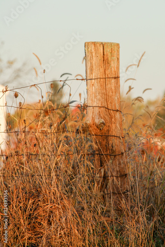 Fotografie Morning Glow on the Fence