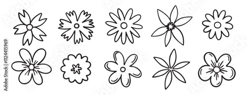 flowers decoration doodle hand drawn icon set. Outline drawing chamomile flower buds line clipart symbol collection. 
