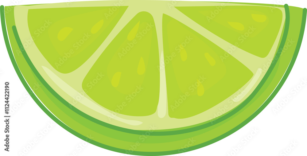 Sliced green lime illustration with segments. Sliced green lime illustration with segments.