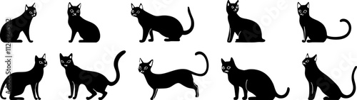 A collection of black cat silhouettes showcasing various poses and expressions, perfect for pet-related designs and illustrations.