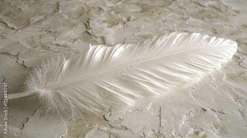 Elegant white feather resting on a textured marble surface showcases natural beauty and fine details in soft lighting photo