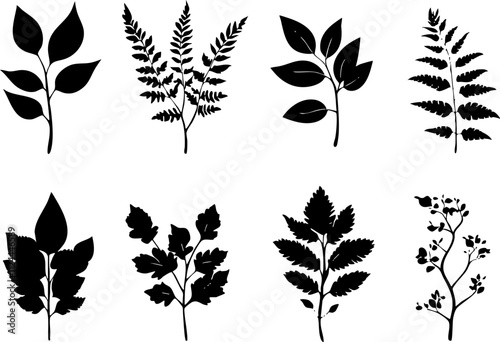 A collection of black silhouette leaves and ferns, ideal for botanical designs, nature-themed projects, and decorative purposes.