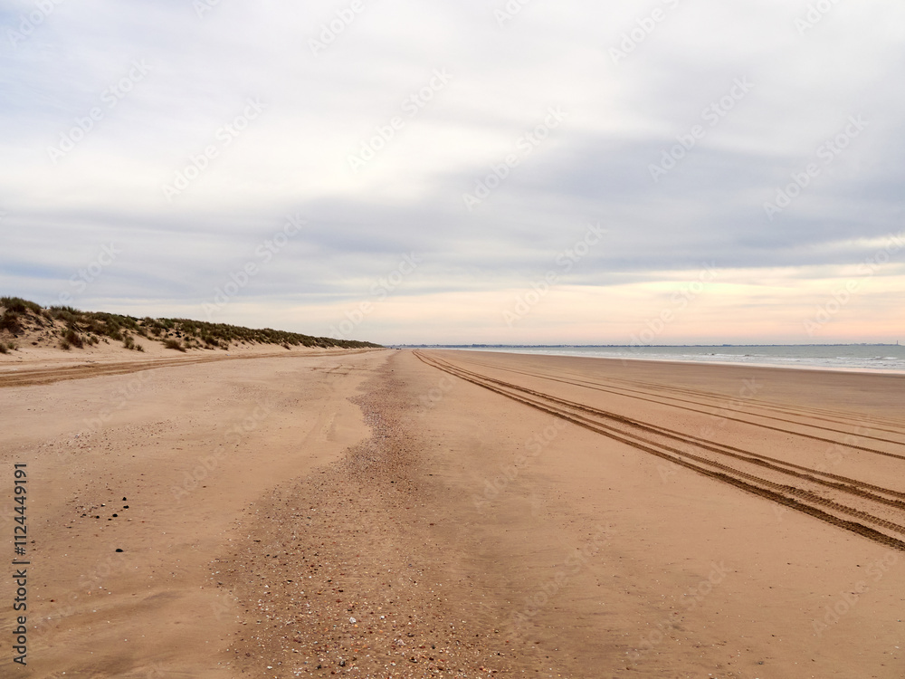 Doñana National Park. Ecosystems that host a unique biodiversity in Europe. The marsh stands out above all. It is one of the most important protected areas in Andalusia Doñana National Park. Ecosystems that host a unique biodiversity in Europe. The marsh stands out above all. It is one of the most important protected areas in Andalusia